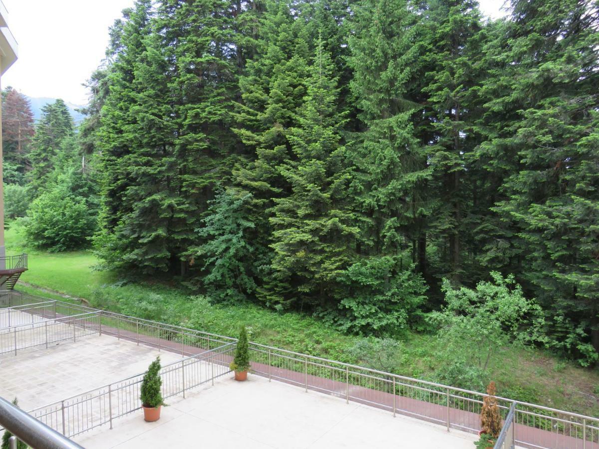 Rivendell Apartments Flora Complex 보로베츠 외부 사진